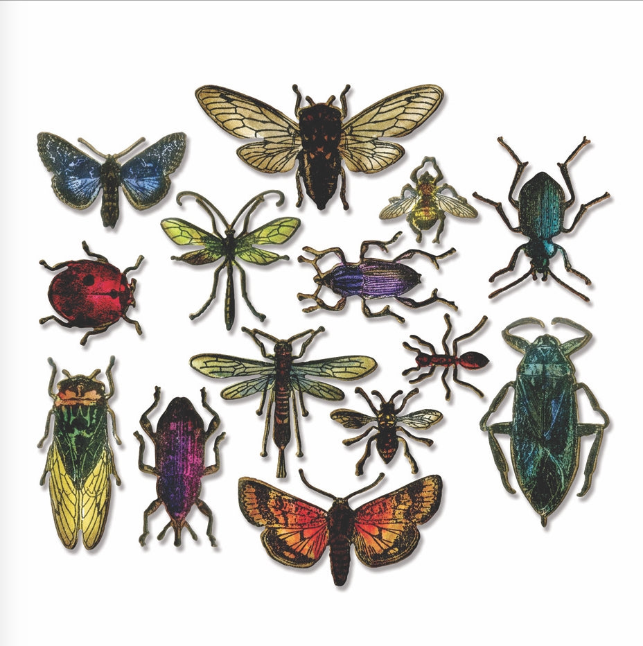 Tim Holtz Sizzix Framelits ENTOMOLOGY Wafer Thin Die Set